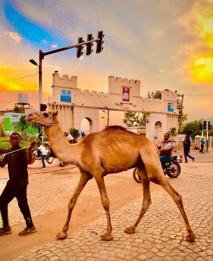 The towns, villages and daily life of the northern Ethiopian highlands