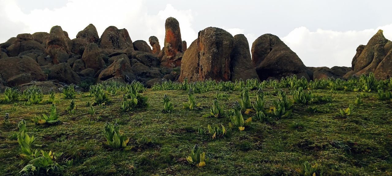 Wide southern Ethiopian landscapes from the highlands to the river