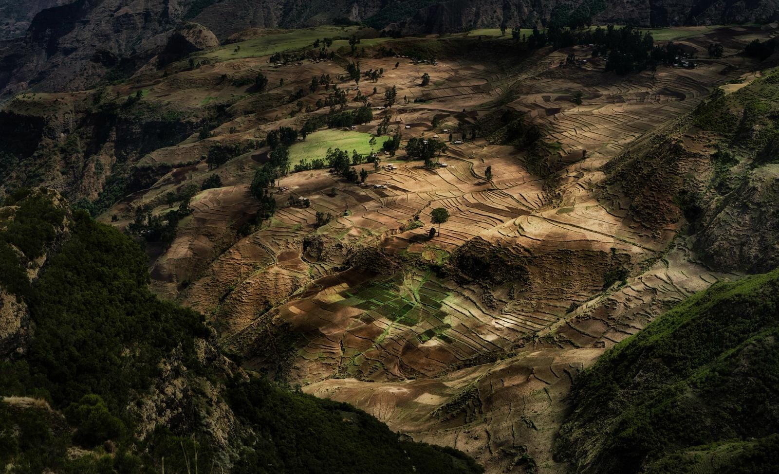 A guide walking with travellers through the Ethiopian highlands