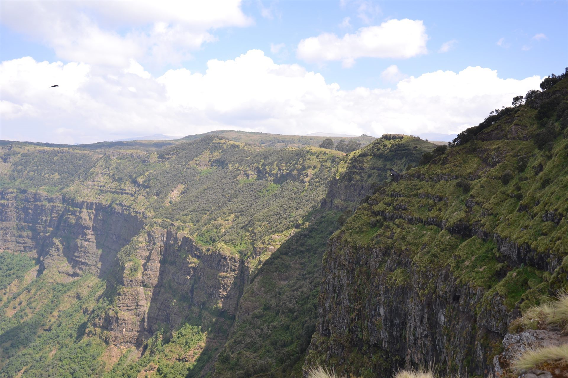 Golden light over the highland trails of the Simien Mountains